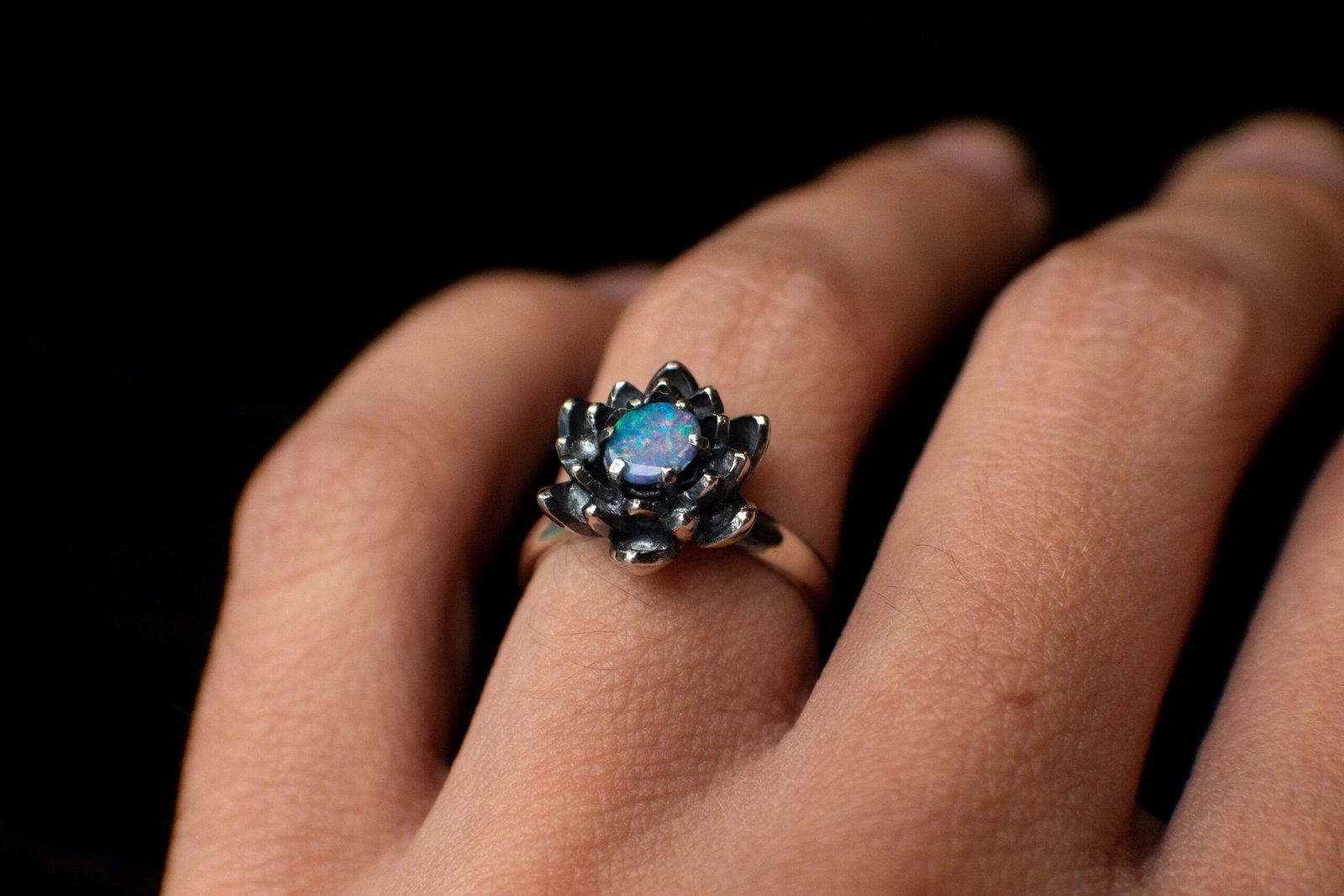 Loto · Plata - Image 6