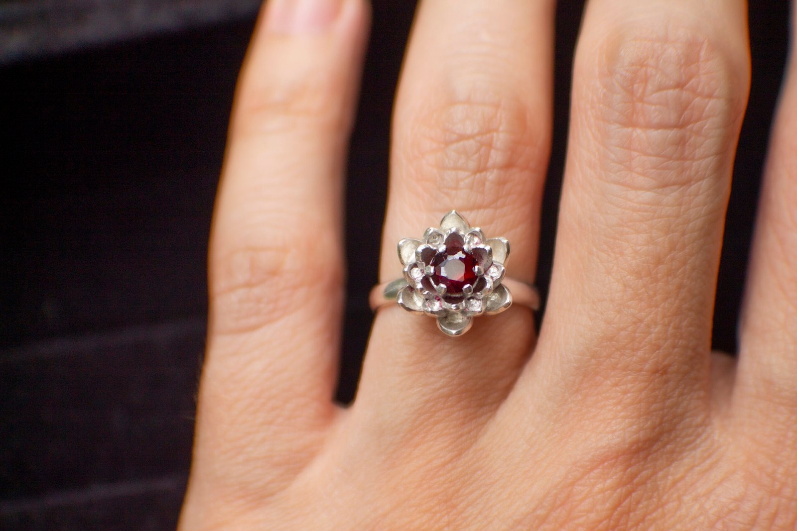 Loto · Plata - Image 8