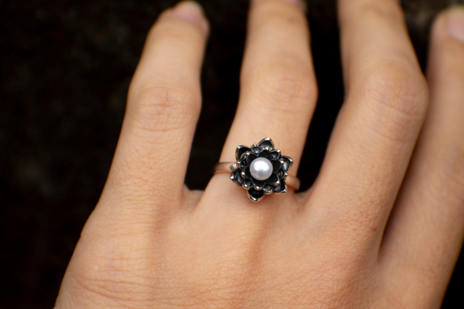 Loto · Plata - Image 7